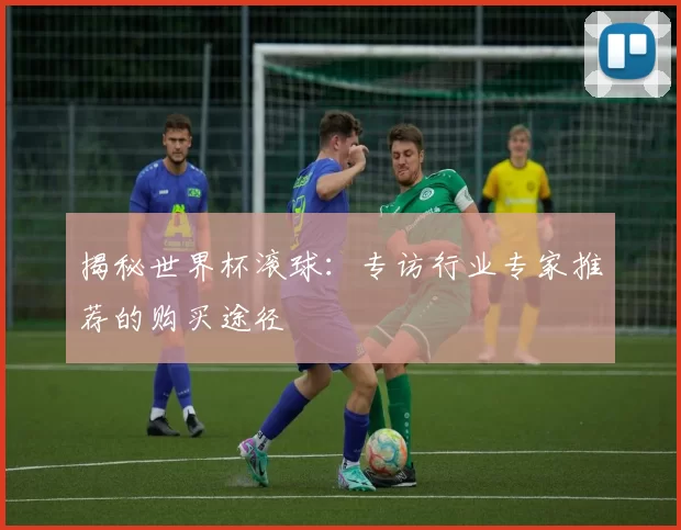 揭秘世界杯滚球：专访行业专家推荐的购买途径