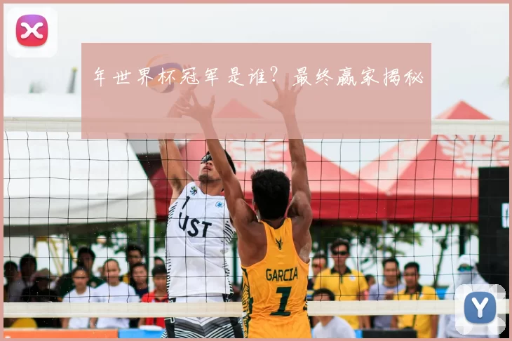 年世界杯冠军是谁？最终赢家揭秘