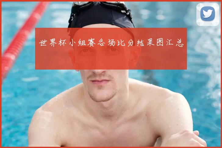 世界杯小组赛各场比分结果图汇总