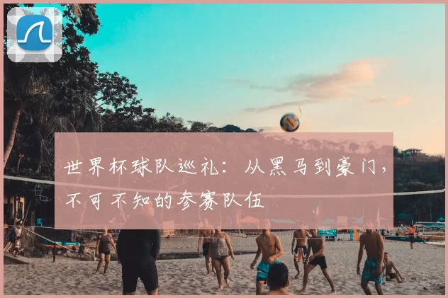 世界杯球队巡礼：从黑马到豪门，不可不知的参赛队伍