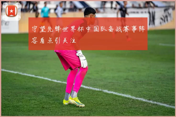 守望先锋世界杯中国队备战赛事阵容看点引关注