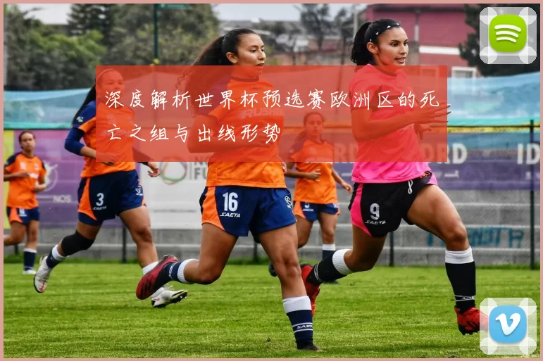 深度解析世界杯预选赛欧洲区的死亡之组与出线形势