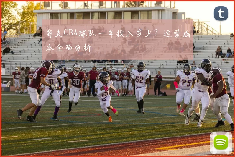 每支CBA球队一年投入多少?运营成本全面分析