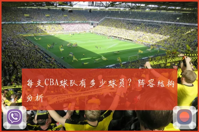 每支CBA球队有多少球员？阵容结构分析
