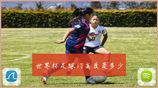 世界杯足球门高度是多少