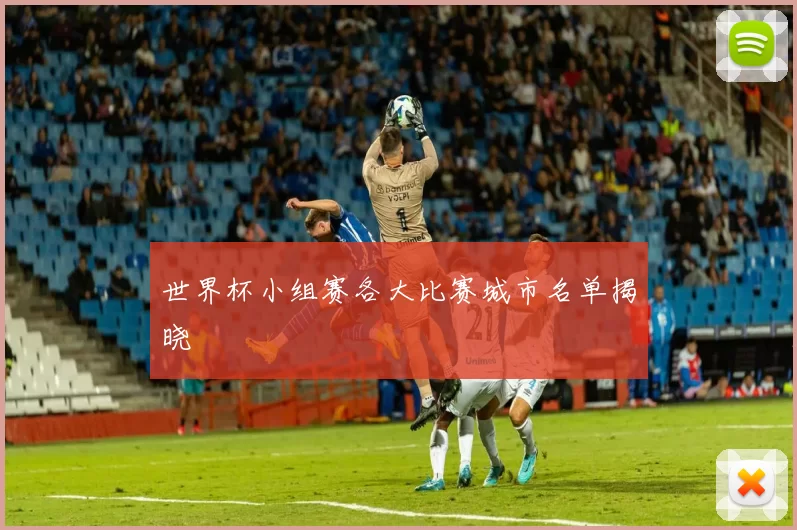 世界杯小组赛各大比赛城市名单揭晓