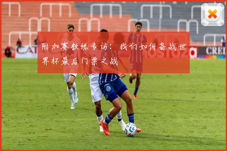 附加赛教练专访：我们如何备战世界杯最后门票之战