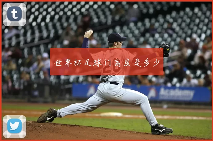 世界杯足球门高度是多少