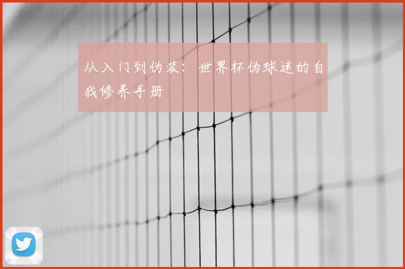 从入门到伪装:世界杯伪球迷的自我修养手册